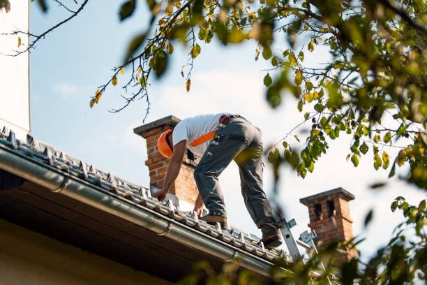 Best Roof Leak Repair  in Slayton, MN
