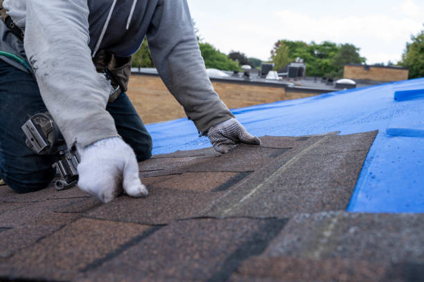 Best Roof Gutter Cleaning  in Slayton, MN