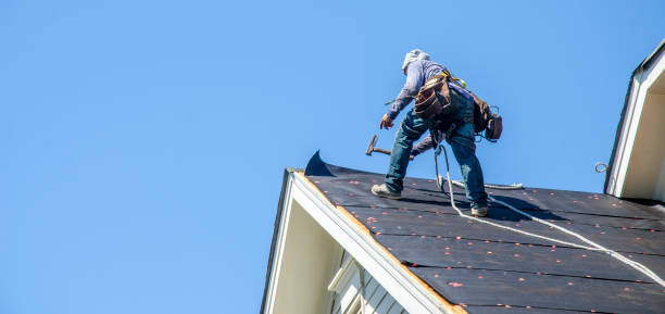 Best Roof Leak Repair  in Slayton, MN